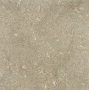 Atlantis_18x18_HONED Atlantis_18x18_HONED