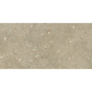 12x24-atlantis-HONED 12x24-atlantis-HONED