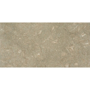 Atlantis_12x24_Flamed-and-Brush Atlantis_12x24_Flamed-and-Brush