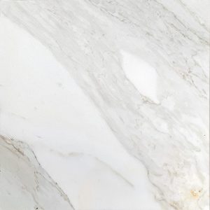 Calacatta Gold 24x24 Polished