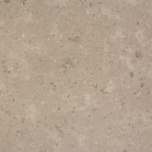 170330-MEMPHIS-12-X-12-FIELD-TILE-HONED