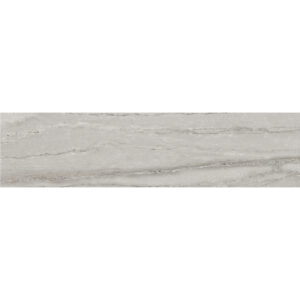 270310-6X24_Noble 12x24_Beauty_Polished 01v