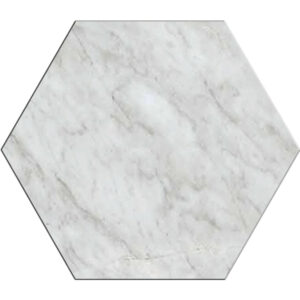 Pietrasanta: 12" Hexagon Tile - Bianco