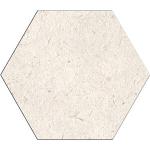 Impression: 12" Hexagon Tile - Bone