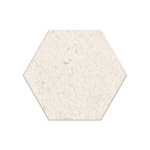 Impression: 6" Hexagon Tile - Bone