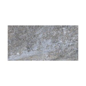 8" X 16" Porcelain Paver: Silver Quartz