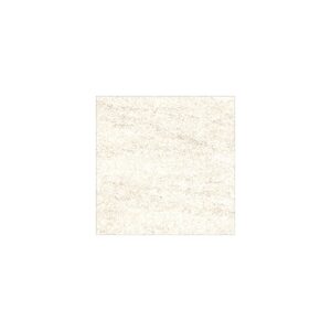 6" X 6" Porcelain Paver: Nextone Bianco