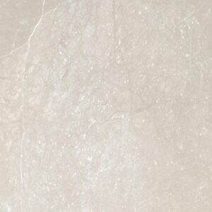 Sparta 12" X 12" Field Tile - Polished